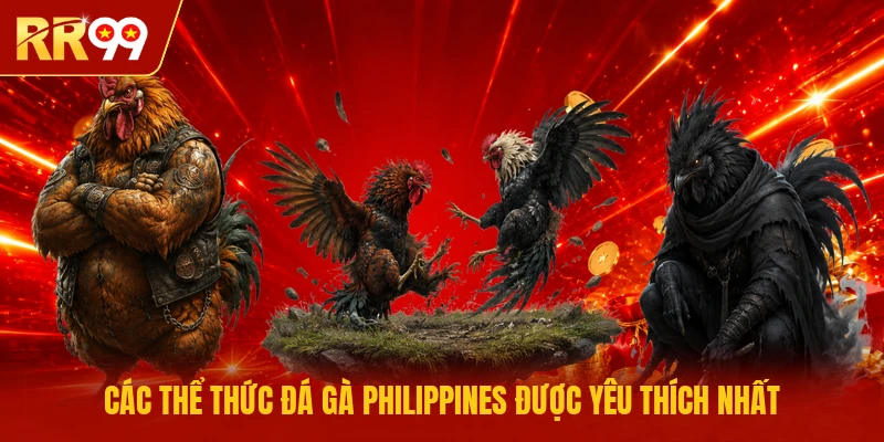 Các thể thức đá gà Philippines được yêu thích nhất
